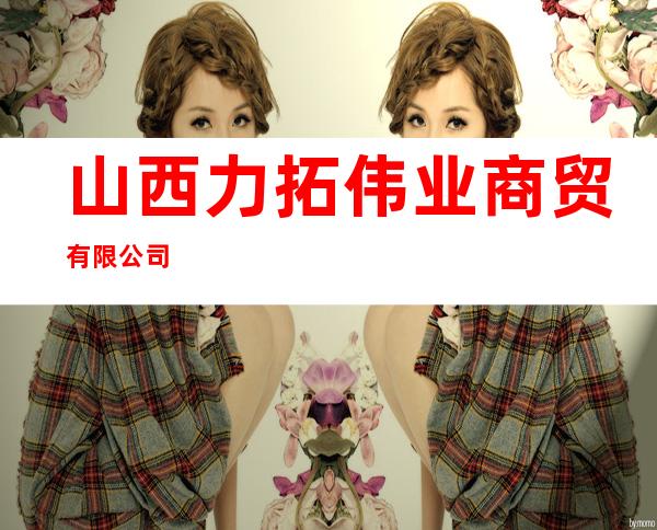 山西力拓伟业商贸有限公司